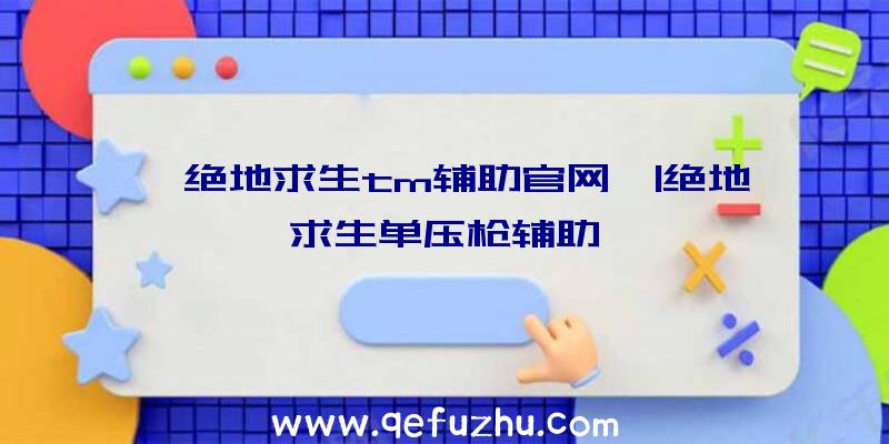 「绝地求生tm辅助官网」|绝地求生单压枪辅助